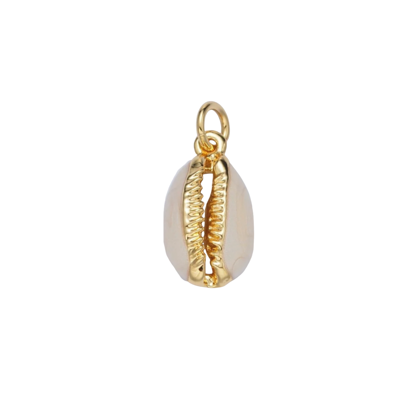Small Cowrie Shell Charm