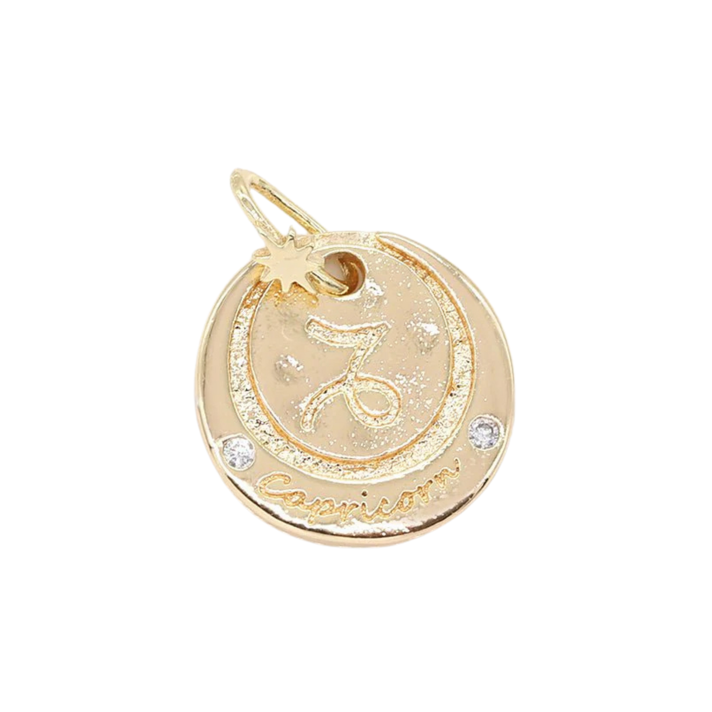 Medium Zodiac Coin Charm