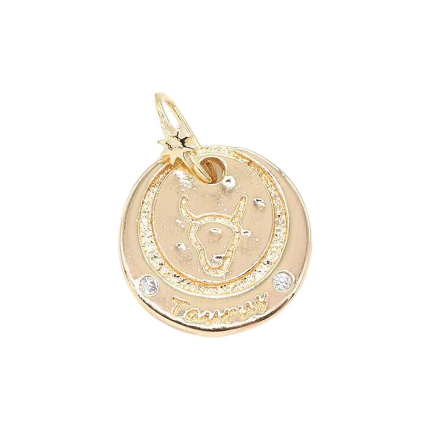 Medium Zodiac Coin Charm