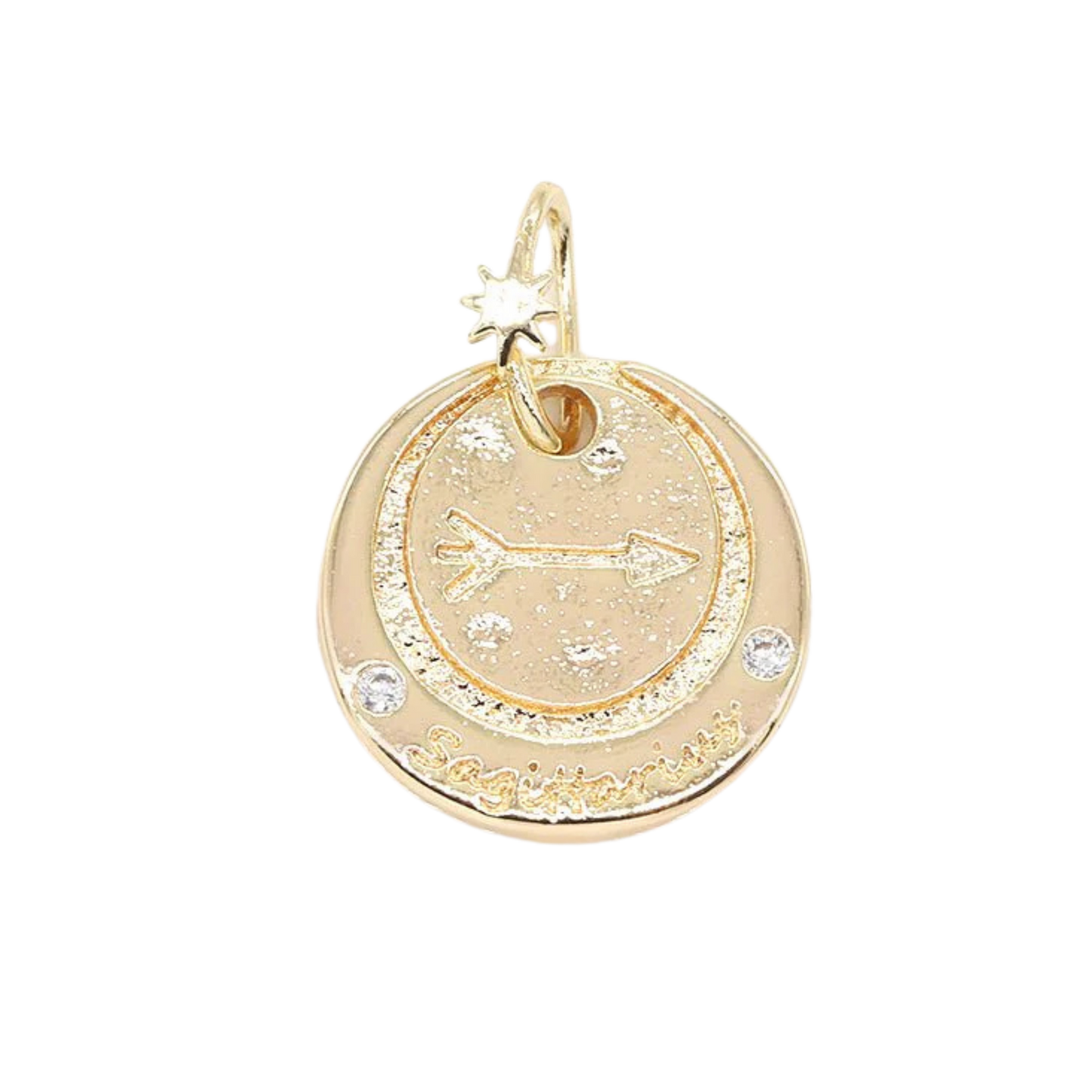 Medium Zodiac Coin Charm