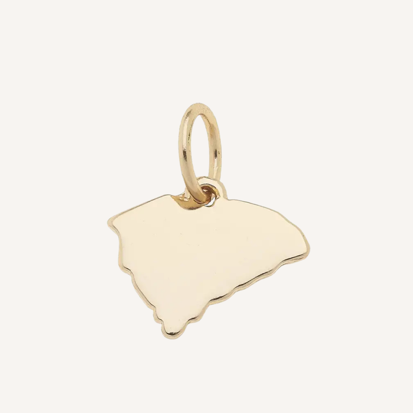 Large State Charms