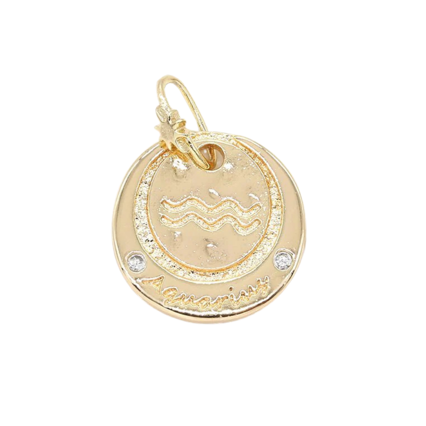 Medium Zodiac Coin Charm