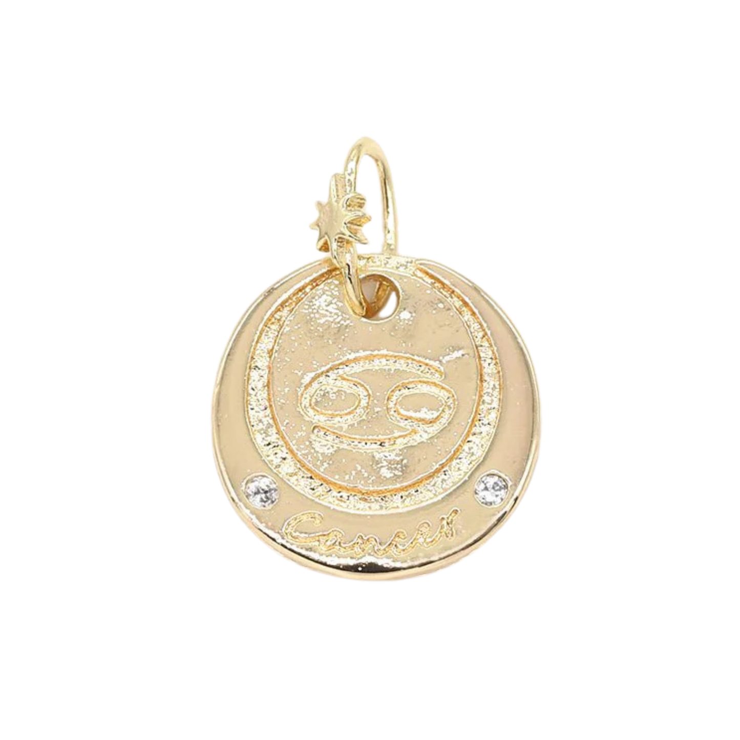 Medium Zodiac Coin Charm