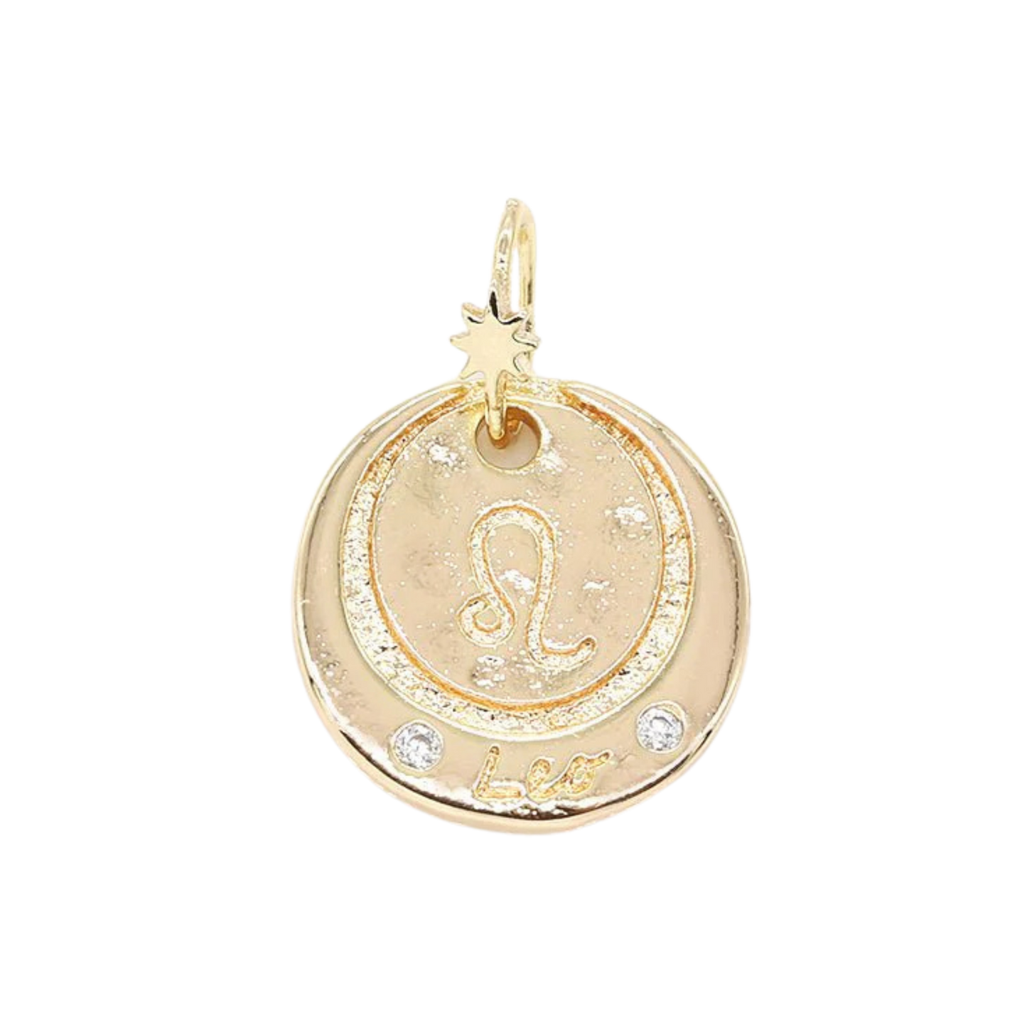 Medium Zodiac Coin Charm