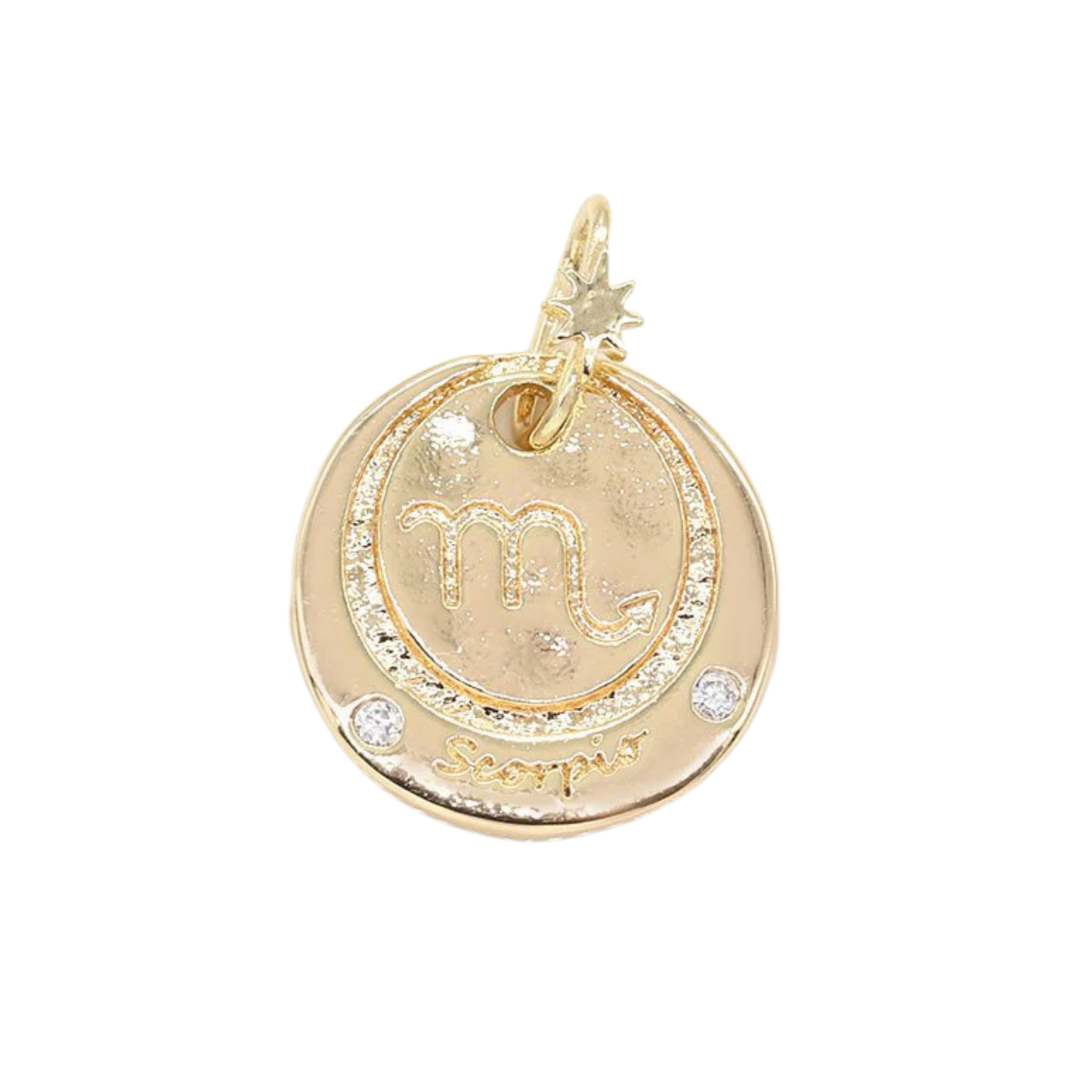 Medium Zodiac Coin Charm