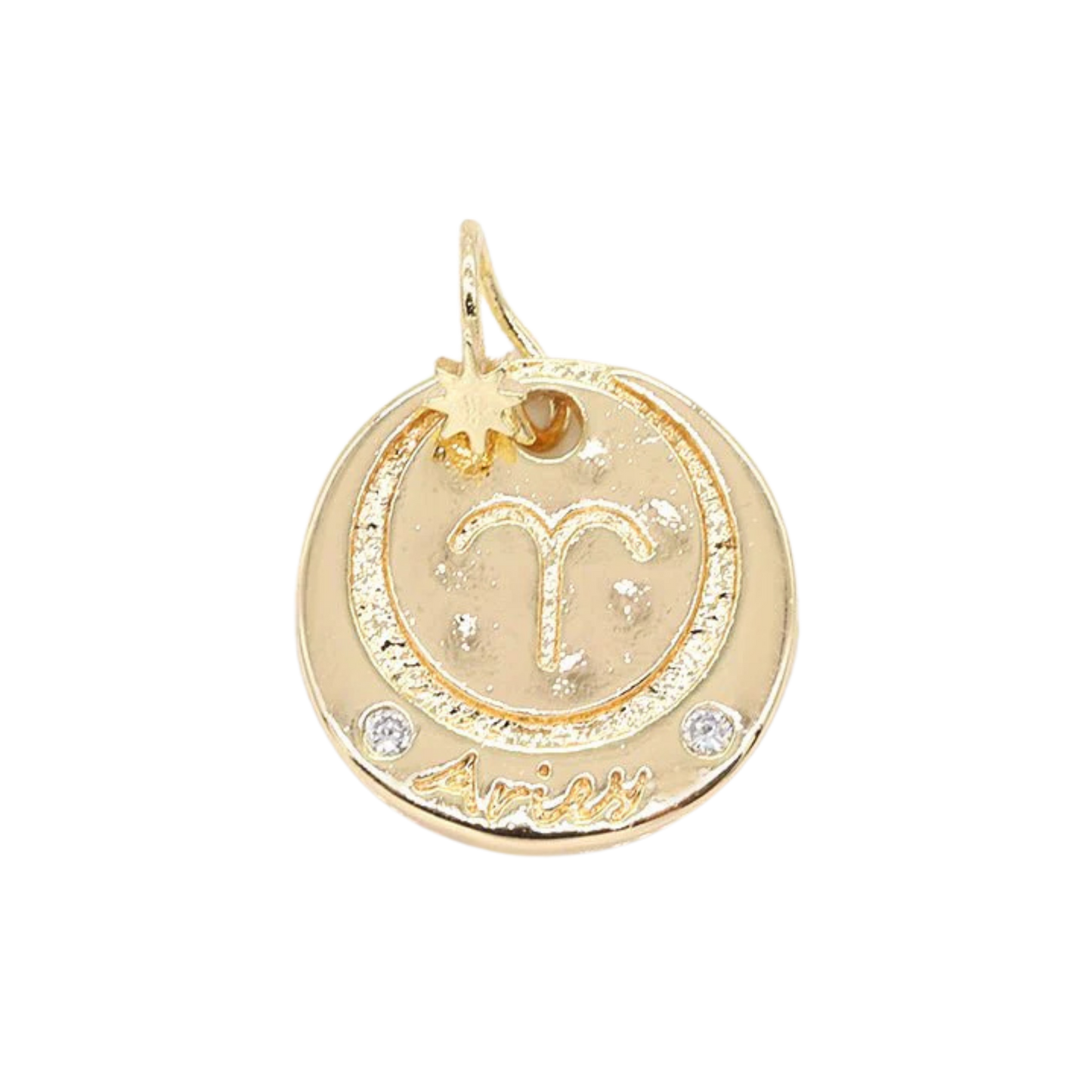Medium Zodiac Coin Charm