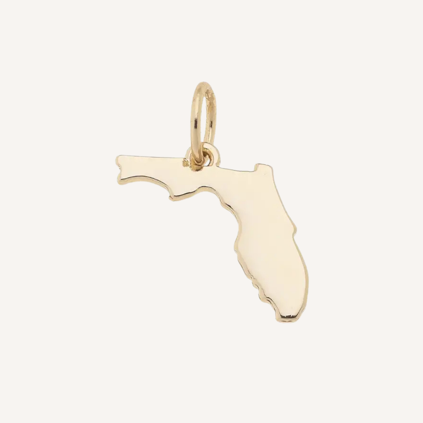 Large State Charms