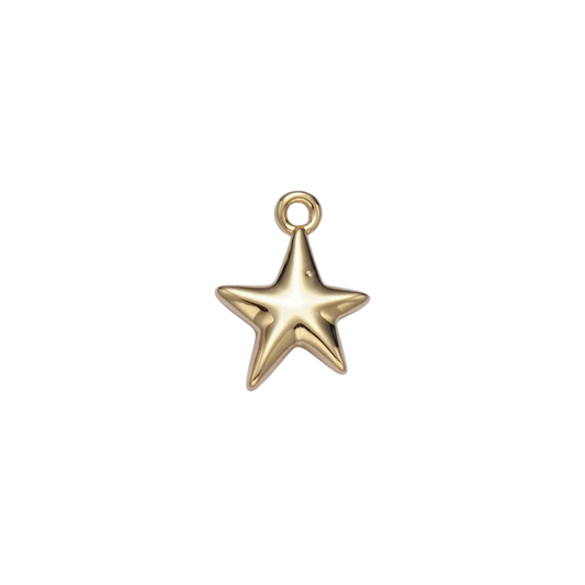 Mini Star Charm