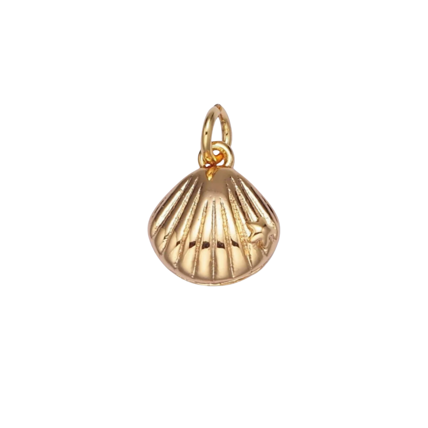 Mini Seashell Charm
