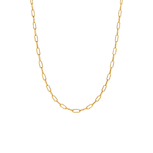 18K Gold-Filled Small Sage Paperclip Necklace