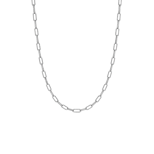 Silver Small Sage Paperclip Necklace