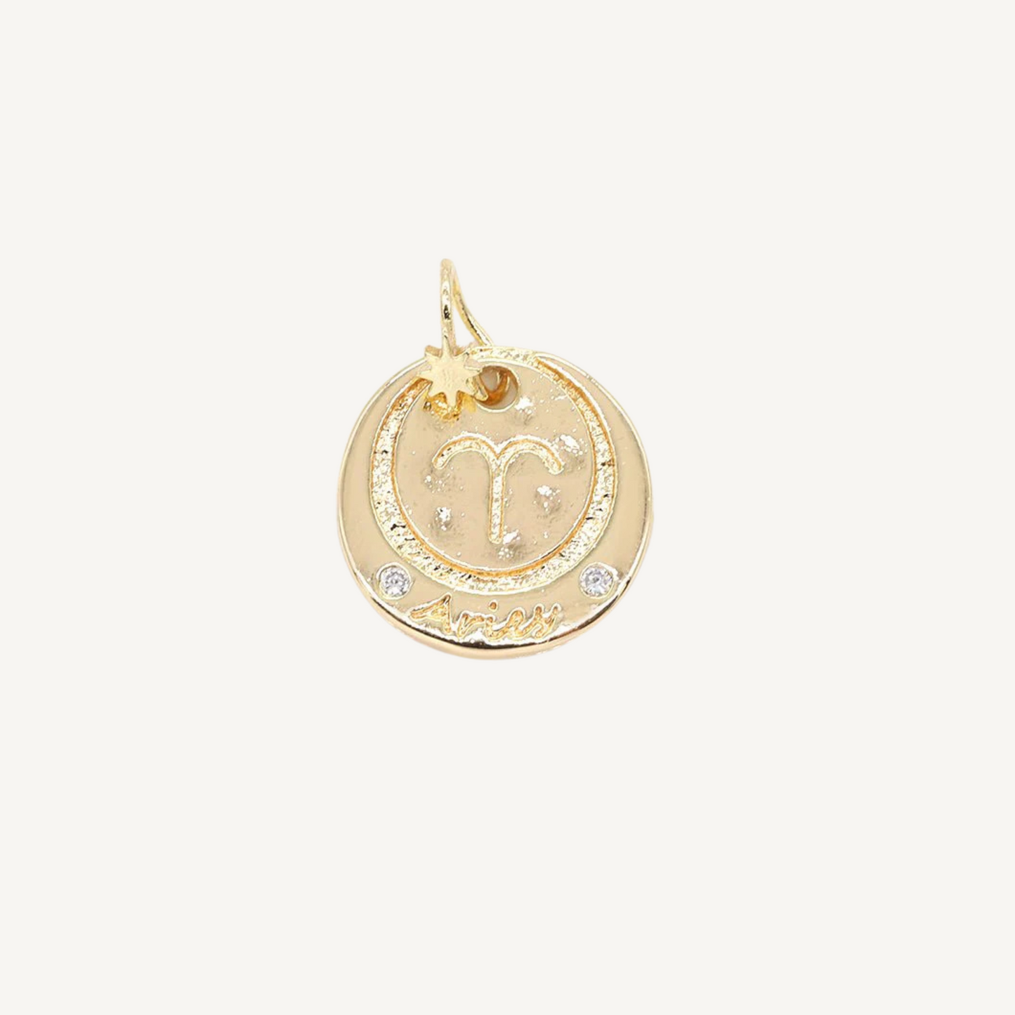 Medium Zodiac Coin Charm