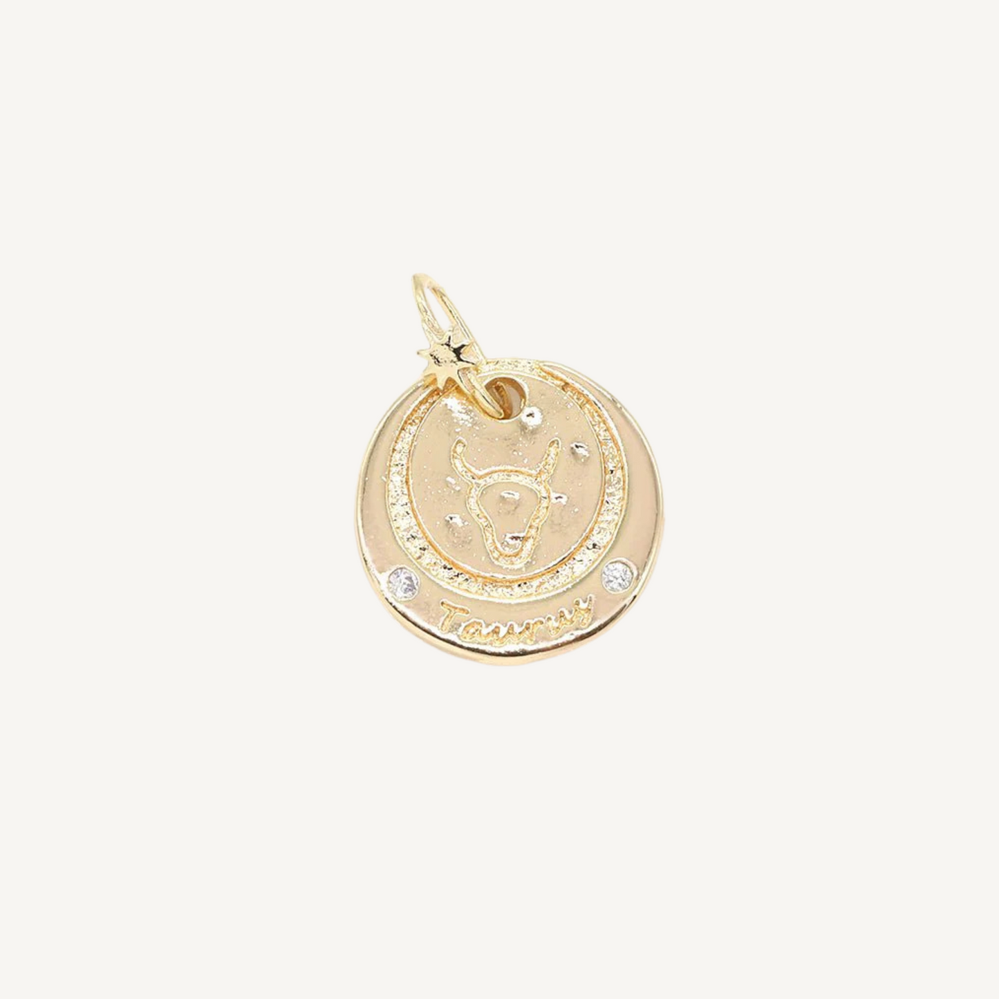 Medium Zodiac Coin Charm